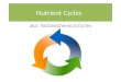 Nutrient Cycles aka: BioGeoChemical Cycles.  Living things require both a source of energy and a source of matter in order to survive.  Both energy
