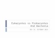 Eukaryotes vs Prokaryotes And Bacteria SBI 3C: OCTOBER 2012