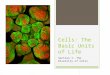 Cells: The Basic Units of Life Section 1: The Diversity of Cells