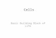 Cells Basic Building Block of Life. Cell Theory 1)Cells are the basic units of structure & function in living organisms. 2)All living organisms are composed