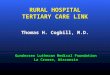 RURAL HOSPITAL TERTIARY CARE LINK Thomas H. Cogbill, M.D. Gundersen Lutheran Medical Foundation La Crosse, Wisconsin