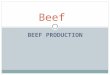 BEEF PRODUCTION Beef. Compensatory Growth  The growth which occurs when an animal is fed well after a period of restricted feeding.  During the store