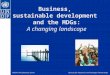 UNDP & the Business SectorBureau for Resources and Strategic Partnerships Business, sustainable development and the MDGs: A changing landscape