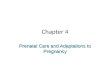 Chapter 4 Prenatal Care and Adaptations to Pregnancy
