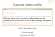 Cancer stem cells IOSI Journal Club Giulia Poretti January 19, 2007