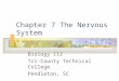 Chapter 7 The Nervous System Biology 112 Tri-County Technical College Pendleton, SC