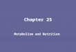 Chapter 25 Metabolism and Nutrition. INTRODUCTION The food we eat is our only source of energy for performing biological work. Food molecules are used