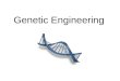 Genetic Engineering. Biotechnology and Recombinant DNA