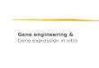 Gene engineering & Gene expression in vitro. Genentech Founders  1973,Stanley Cohen and Herbert Boyer DNA recombination ： pSC101 RSF1010 pSC109 E coli