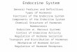 Introduction to the Endocrine System General Features and Definitions Types of Hormones Functions of the Endocrine System Components of the Endocrine System