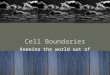 Cell Boundaries Keeping the world out of our cell