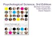 Psychological Science, 3rd Edition Michael Gazzaniga Todd Heatherton Diane Halpern