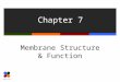 Chapter 7 Membrane Structure & Function. Slide 2 of 38 7.1 Plasma Membrane  Cell’s barrier to the external world  Selectively permeable  Allows only