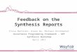 Feedback on the Synthesis Reports Elisa Martinez, Diana Wu, Michael Drinkwater Governance Programming Framework - GPF Synthesis Workshop April 2011