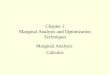 Chapter 2 Marginal Analysis and Optimization Techniques Marginal Analysis Calculus