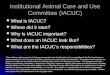 Institutional Animal Care and Use Committee (IACUC) What is IACUC? What is IACUC? Where did it start? Where did it start? Why is IACUC important? Why is