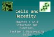 Cells and Heredity Chapter 1 Cell Structure and Function. Section 1-Discovering Cells