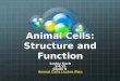 Animal Cells: Structure and Function Lesley Koch 3/4/15 Grade 9 Animal Cells Lesson Plan Animal Cells Lesson Plan