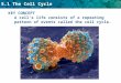 5.1 The Cell Cycle KEY CONCEPT A cell’s life consists of a repeating pattern of events called the cell cycle