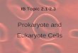 IB Topic 2.1-2.3 Prokaryote and Eukaryote Cells. Cell Theory A. There are 3 main points 1. All living organisms are composed of cells. 2. Cells are the