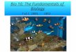 Bio 10: The Fundamentals of Biology Fall 2005 - 1082