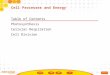 Table of Contents Photosynthesis Cellular Respiration Cell Division Cell Processes and Energy