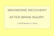 MAXIMIZING RECOVERY AFTER BRAIN INJURY © 2008 Barbara A. Dively