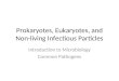Prokaryotes, Eukaryotes, and Non-living Infectious Particles Introduction to Microbiology Common Pathogens