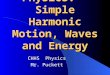 Physics: Simple Harmonic Motion, Waves and Energy CHHS Physics Mr. Puckett