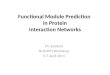 Functional Module Prediction in Protein Interaction Networks Ch. Eslahchi NUS-IPM Workshop 5-7 April 2011