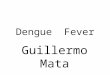 Dengue Fever Guillermo Mata. Dengue fever also known as break bone fever, is an infectious tropical disease caused by the dengue virus