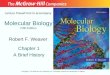 Molecular Biology Fifth Edition Chapter 1 A Brief History Lecture PowerPoint to accompany Robert F. Weaver Copyright © The McGraw-Hill Companies, Inc