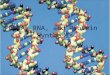 DNA, RNA, and Protein Synthesis. How do our genes work? “How do our genes determine our physical characteristics? These questions and others led scientists