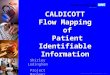 Shirley Ledingham Project Manager July 2003 CALDICOTT Flow Mapping of Patient Identifiable Information