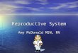 Reproductive System Amy McDonald MSN, RN. Female External Organs