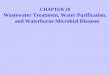 CHAPTER 28 Wastewater Treatment, Water Purification, and Waterborne Microbial Diseases