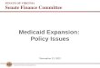 SENATE FINANCE COMMITTEE SENATE OF VIRGINIA Senate Finance Committee November 15, 2012 Medicaid Expansion: Policy Issues