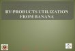 Previous NextEnd. INTRODUCTION Banana is a fast growing and high biomass-yielding plant. India is the largest producer of banana next to mango. The major