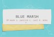 BLUE MARSH BY:mark s. patrick c. carl b. mike v