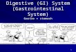 Digestive (GI) System (Gastrointestinal System) Gastro = stomach 1