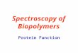 Spectroscopy of Biopolymers Protein Function. Functions of Proteins Binding The most fundamental of these is binding, which underlies all the other biochemical