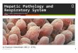Hepatic Pathology and Respiratory System Topics in Human Pathophysiology Fall 2011 Gilead Drug Safety and Public Health