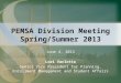 PEMSA Division Meeting Spring/Summer 2013 June 4, 2013 Lori Varlotta Senior Vice President for Planning, Enrollment Management and Student Affairs