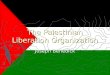 The Palestinian Liberation Organization Joseph Benedick