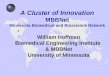 William Hoffman Biomedical Engineering Institute & MBBNet University of Minnesota A Cluster of Innovation MBBNet Minnesota Biomedical and Bioscience Network