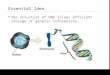 Www.BioEdOnline.org Essential Idea The structure of DNA allows efficient storage of genetic information