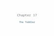 Chapter 17 The Toddler. GENERAL CHARACTERISITCS Toddler- 1-3 years VS- 70-110, 25, 90/56 No longer completely dependent on others Rapid growth and development