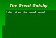 The Great Gatsby  What does the novel mean?. The Great Gatsby Literary Elements