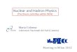Nuclear and Hadron Physics (The theory activities within INFN) Maria Colonna Laboratori Nazionali del Sud (Catania)