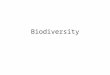 Biodiversity Biological diversity or “Biodiversity” = the sum of the genetically based variety of all organisms in the biosphere Our existence relies